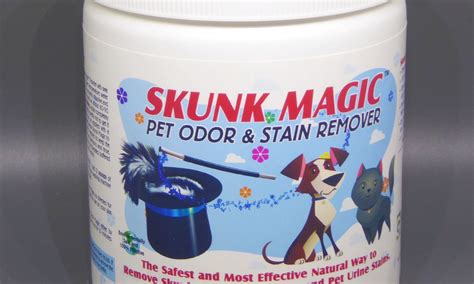 Say No to Stinky Odors with Skunk Solution's Magic Molecule